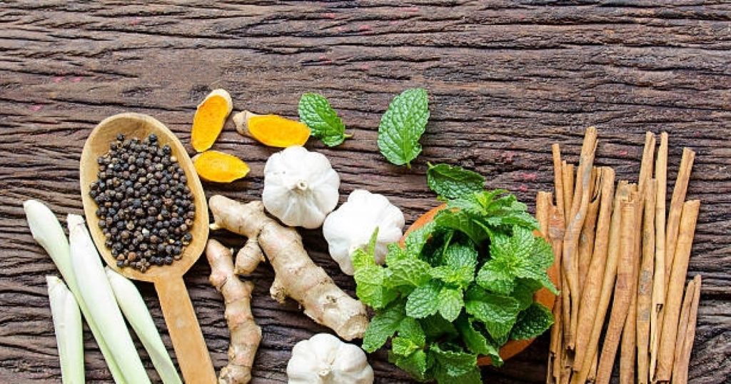 Dari Akar hingga Daun: Jenis Tanaman Obat yang Bisa Dibuat Jadi Ramuan Penyembuh